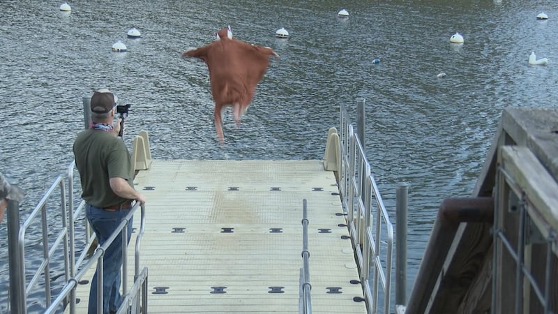 The annual Polar Plunge is back this year, benefiting both Tazewell Today and Tactical Retreat...