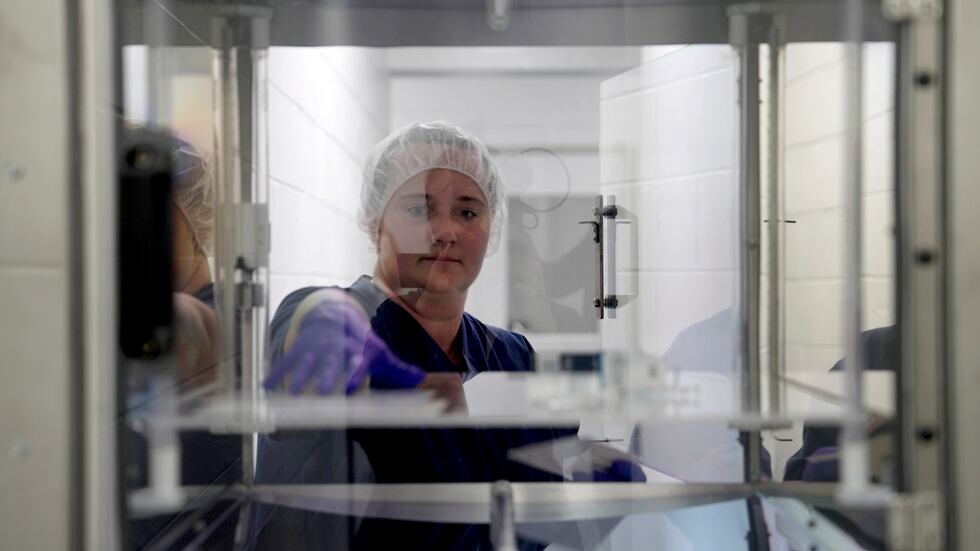 A worker at United Therapeutics' designated pathogen-free facility in Christiansburg, Va., on...